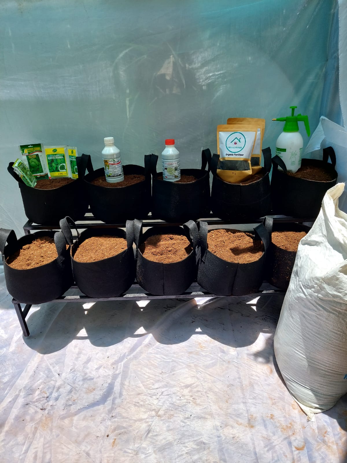 Growing Bags